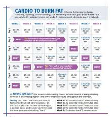 cardio chart sada margarethaydon com