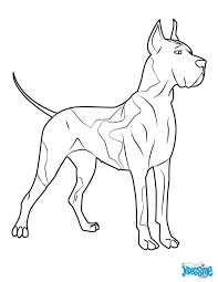 epingle sur coloriages animaux domestiques coloriage x