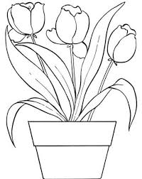 Gambar Sketsa Flora Bunga 39 Gambar Sketsa Bunga Indah Sakura Mawar Melati Matahari Download Gambar Sk Di 2020 Gambar Flora Dan Fauna Bunga Tutorial Bunga Kertas