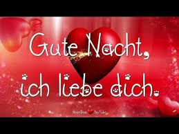Schatz Herz Spruche Herz Schatz Spruche German Quotes Spring Roll Bowls Best Homemade Dog Food