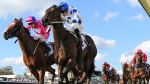 Perfect Day for Jake