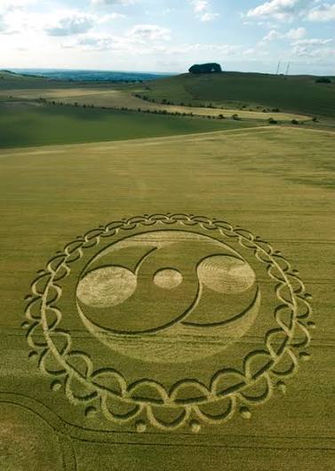 Furze Knoll near Morgans Hill, Wiltshire | 20th June 2008 | Barley L -  Temporary Temples