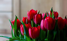 J'adore vous voir bâtir ensemble cette complicité si précieuse. Les Plus Belles Fleurs Symbole D Amour