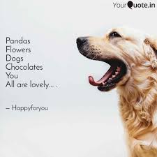 Thousands of free ecards and epoems including love poems, good morning messages, friendship poems, inspiration poems. Pandas Flowers Dogs Choco Quotes Writings By Saransh Gupta Yourquote