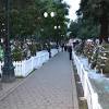 More images for willow glen christmas lights » Https Encrypted Tbn0 Gstatic Com Images Q Tbn And9gctgmrhkprutmqzgmpnvakr5oi7mvp56snf52pmgcjryghtafwfs Usqp Cau