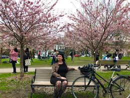 I do understand that warning people to stay away, because of traditional hordes would be effective. How To See Cherry Blossoms In Toronto In 2021 Liisa Wanders