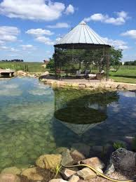 Natural Swimming Pool Pond Photo Gallery Design Fabrication Services Natural Swimming Ponds Swimming Pool Pond Natural Swimming Pools