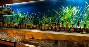 Floor aquarium — perfect quality and affiordable prices on joom. First Floor Wien Jetzt Fur Immer