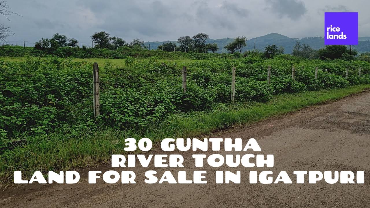 Agriculture Land for Sale in Igatpuri product image