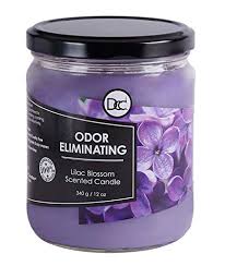 We did not find results for: Top 7 Best Odor Eliminating Candles For Your Home 2021