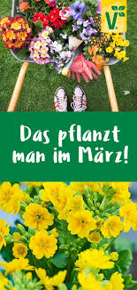 Schöne gartengestaltung in jeder neuen saison ist hier präsentiert. Was Pflanze Ich Im Marz Gartenarbeit Im Marz Gartentipps Pflanzen