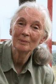 Seed: The Untold Story Reviews