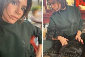 Victoria Beckham lounges in a TRACKSUIT as she ditches polished look to  cuddle her dog at her Cotswolds home