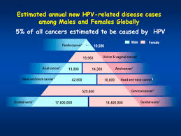 Researchers have known for some time that the sexually. Preventing Cervical Cancer And Genital Warts How Much Protection Is Enough For Hpv Vaccines Journal Of Infection