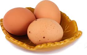Organic Eggs Information and Facts
