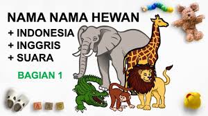 Nama Nama Hewan Dan Suaranya Dalam Bahasa Indonesia Inggris Penulis Cilik Youtube