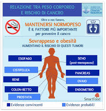 Cosa c'è di vero quando si sente parlare di alimenti per la prevenzione del cancro? Https Www Ieo It Documents Linee 20guida 20nutrizione Pdf
