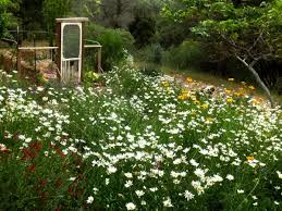One of the first perennial borders planted by the founders of white flower farm was, pure white. Planting A Dramatic Moon Garden Flea Market Gardening