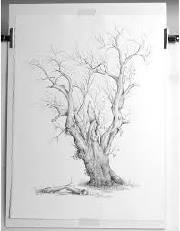 Drought Pencil Drawing Of River Red Gum By Australian Artist Linda Weil Tree Drawing Pencil Drawings Pine Tree Drawing