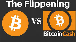 btc vs bch flippening over bitcoin bitcoin cash chart price breakdown