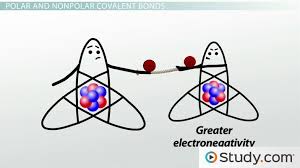 Covalent Bonds Predicting Bond Polarity And Ionic Character