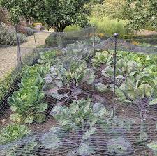 Clarence House On Instagram As We Approach The End Of Organicseptember Take A Look At Some Of The Fruit And Vegetables That Have B In 2020 Vegetables Plants Garden