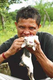 Rien que dans la province du guangdong, près de 10.000 chats seraient mangés. Il Mange Des Animaux Vivants Blog De La Cruaute Animale