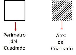Calcular el perímetro conociendo el área. Como Calcular El Area De Un Cuadrado Con Ejercicios Practicos