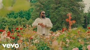 Rexx Life Raj, Dame D.O.L.L.A. - Hook Mitchell (Official Video) - YouTube