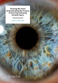 Deep Corneal Scarring : R/Keratoconus