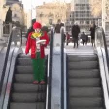Taking you to new heights! Pinned Repinned By Jacquiandscott And Jacquelinehyland On Pinterest Please Follow Us We Love Our Followers And Wi Funny Gif Best Funny Pictures Cool Gifs