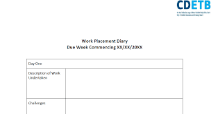 Work Placement Diary Template Skills4work Project