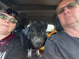 Kristy Dame's Instagram, Twitter & Facebook