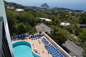 E' un arbusto spinoso che cresce sui terreni poveri o rocciosi, lungo strade o pendii, è una pianta molto forte che non ha nessuna pretesa di terreno o di irrigazione se potata. Hotel La Ginestra Ischia Updated 2021 Prices
