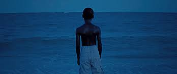 Image result for moonlight movie 2016