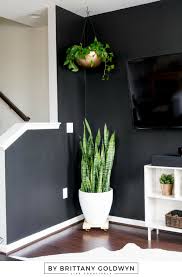 Make A Hanging Planter Out Of An Ikea Blanda Blank Stainless Steel Bowl Hanging Planters Ikea Hanging Planter Hanging Plants Indoor