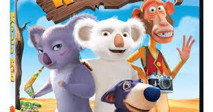 10 Koala Facts Kids Dvd Koala Kids Koala