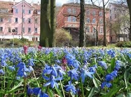 Seit 1828 befindet sich der knapp 2 ha große botanische garten an seiner jetzigen stelle an der nordseite des schloßgartens, mitten im stadtzentrum. Alter Botanischer Garten Tubingen Mapio Net