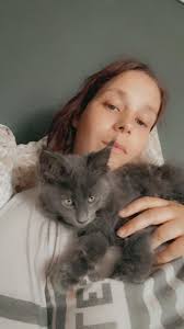 Found Cat in Ocean View