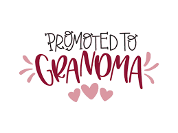 Free svg image & icon. Pin On Plotter