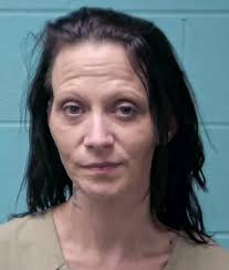 A three-month investigation into the selling and distribution of  methamphetamine in Lenoir County resulted in the arrest of a Lenoir County  woman