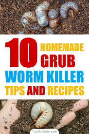 It is useful in killing bugs that crawl through it. Pin On Holistic Home Plant Life