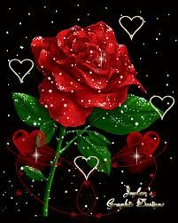 google rose flower wallpaper beautiful rose flowers flower wallpaper