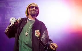 Snoop dogg's current net worth is $35 million. Snoop Dogg Net Worth Is 143 Million Updated For 2020
