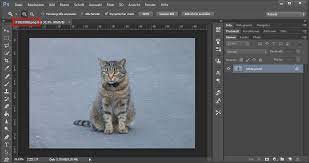 However, png file format does not support animations. Png Datei Offnen Umwandeln So Geht S