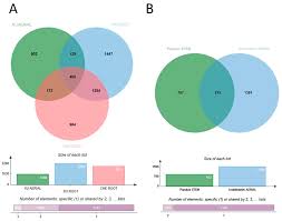 Root Definition Anglo English Ist One Who Saur Lizard Pithec Ape Calli -  Ppt Download