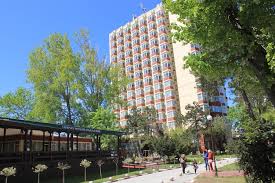 Stelele de mare au o faţă dorsala şi una ventrala, plăcuţele calcaroase fiind aşezate pe faţa ventrală sau inferioară a braţelor,sub tegumentul care acoperă întregul corp, şi fiind prevăzute cu mici. Hotel Delfinul Complex Steaua De Mare Eforie Nord