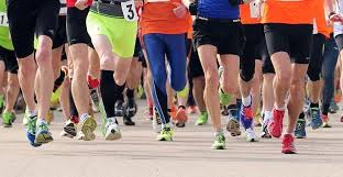 Petit es curioso y todo lo interpreta a su manera. Rijecki Maraton Rijeka Marathon 2021 Termin Anmeldung Ergebnisse Fotos