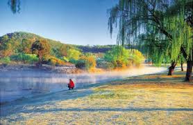 Brisbane Hidden Gems