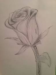 See more ideas about flower drawing, drawings, art tutorials. Drawings Coloring Youtube Channel Drawing Flower Visit Learn Cool And My Tocool Flower Drawings Visi Floral Drawing Flower Drawing Flower Sketches